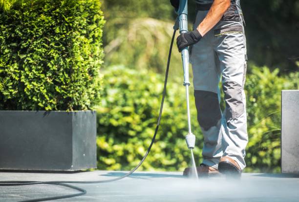 Best Warehouse Cleaning  in Rainsville, AL