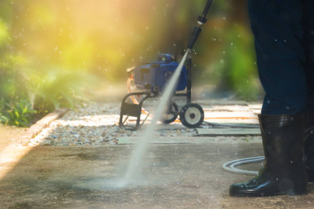 Best Driveway Pressure Washing  in Rainsville, AL